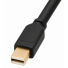 Ar „Mini DisplayPort“ šiandien vis dar gali susidoroti su 4K, 144 Hz ir moderniais žaidimų monitoriais?