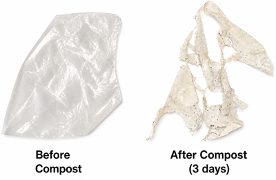 Figure 7. PLA as a Plant-Based Biodegradable Plastic.png